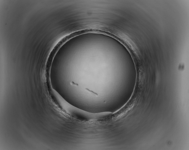 X0000098110924200804041340