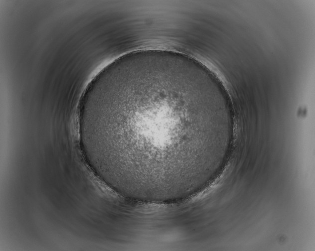 X0000098110925200804041340
