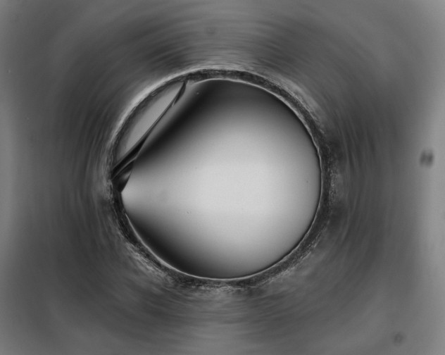 X0000098110926200804041340