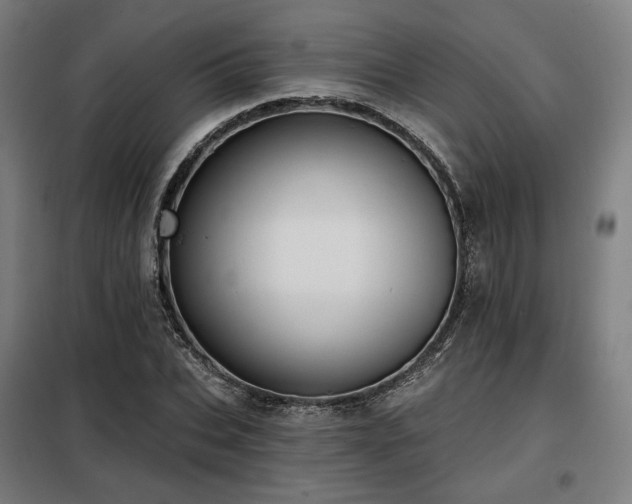 X0000098110927200804041340