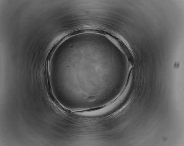 X0000098110930200804041340