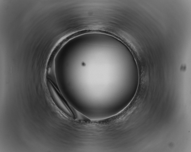 X0000098110932200804041340