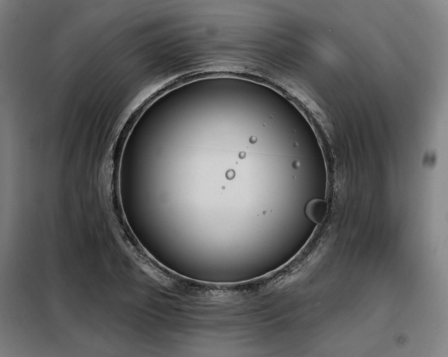 X0000098110933200804041340