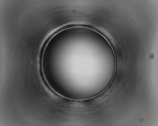X0000098110935200804041340