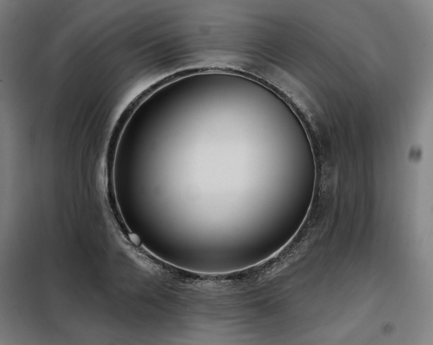 X0000098110936200804041340