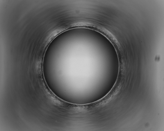X0000098110937200804041340