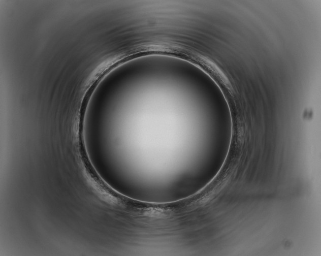 X0000098110938200804041340