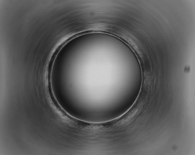 X0000098110939200804041340