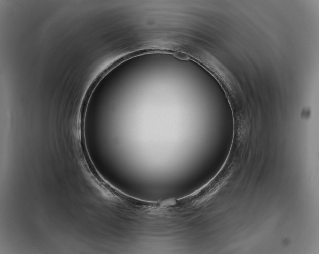 X0000098110940200804041340
