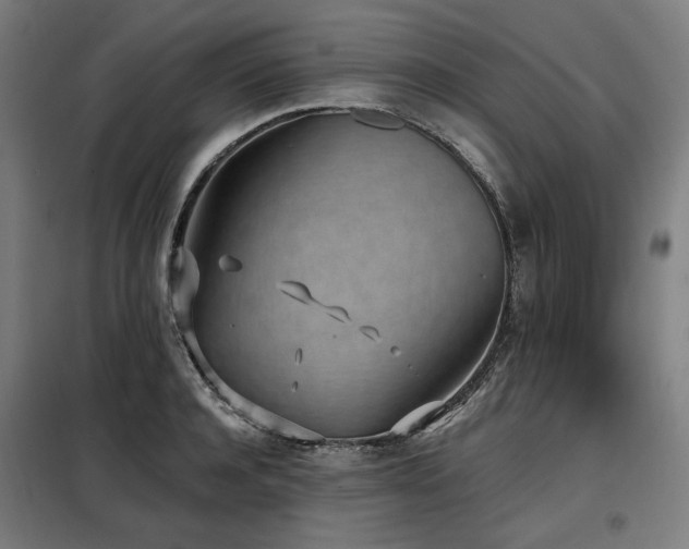 X0000098110944200804041340