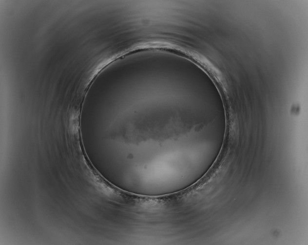 X0000098110945200804041340