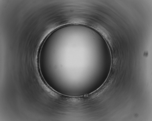 X0000098110947200804041340