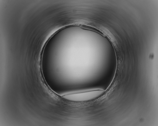 X0000098110948200804041340