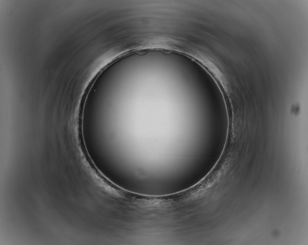 X0000098110949200804041340