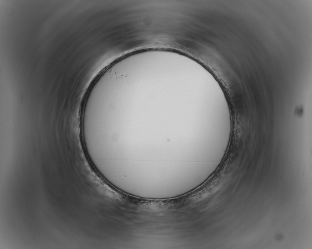 X0000098110950200804041340