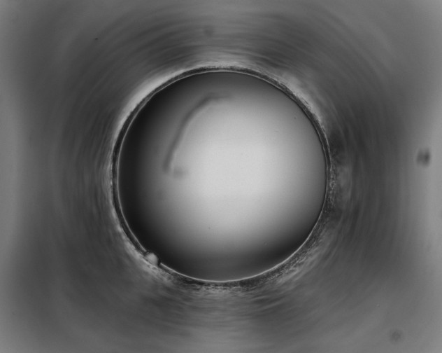 X0000098110951200804041340