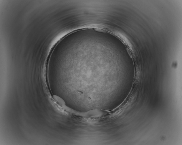 X0000098110952200804041340