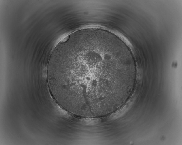 X0000098110953200804041340