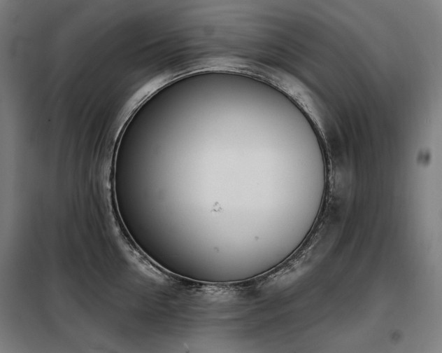 X0000098110954200804041340