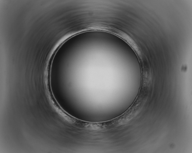 X0000098110955200804041340