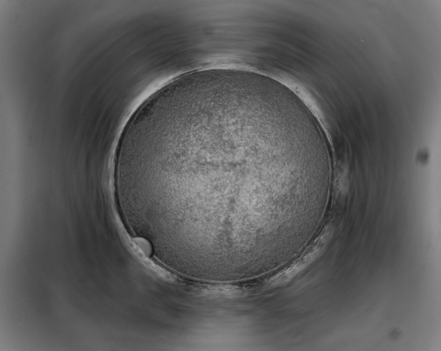 X0000098110957200804041340