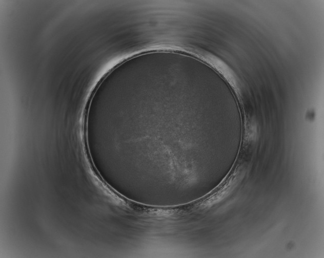 X0000098110958200804041340