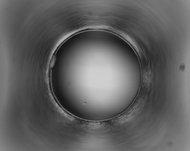 X0000098110959200804041340