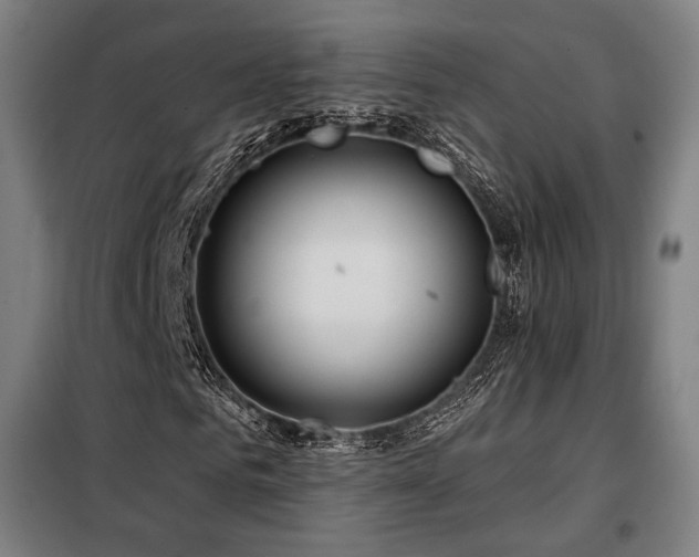 X0000098110961200804041340