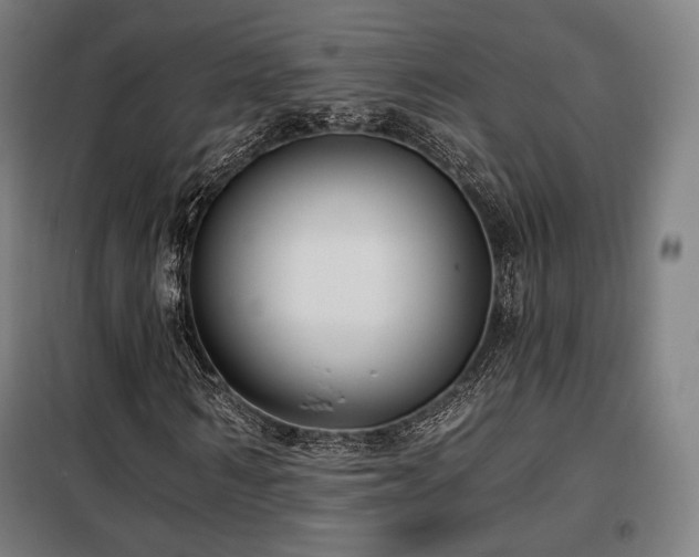 X0000098110962200804041340