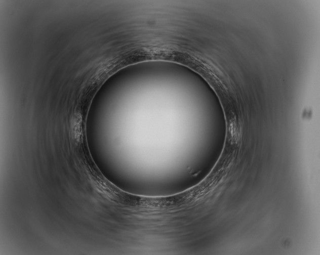 X0000098110963200804041340