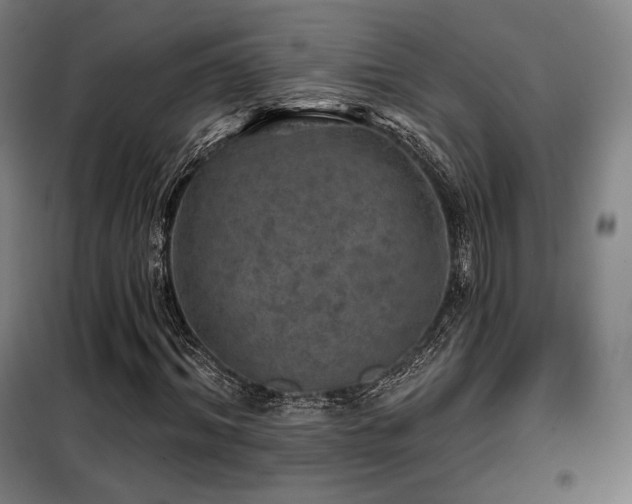 X0000098110964200804041340