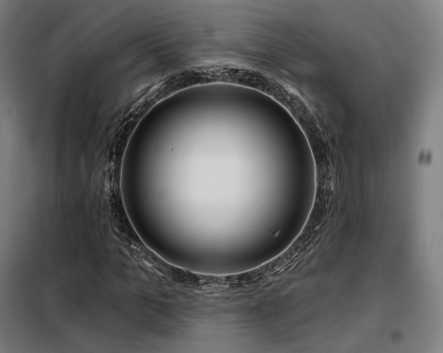 X0000098110965200804041340