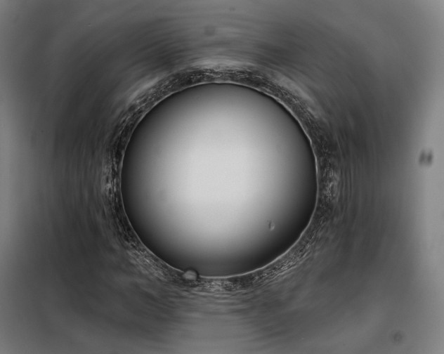 X0000098110966200804041340