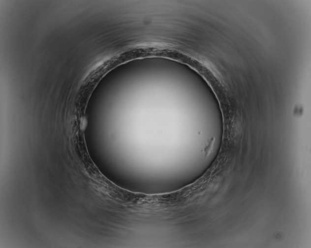 X0000098110967200804041340