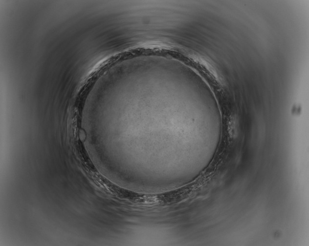 X0000098110968200804041340