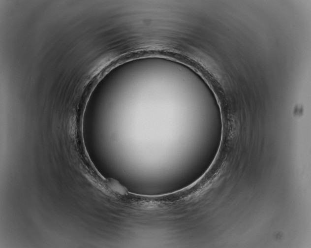 X0000098110969200804041340