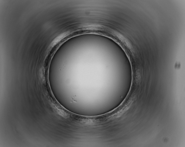 X0000098110970200804041340