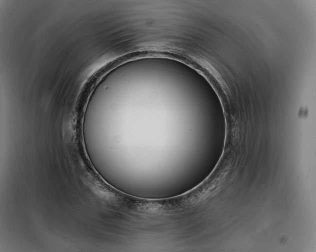 X0000098110971200804041340