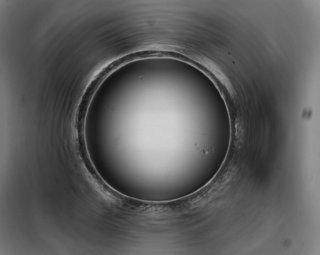 X0000098110972200804041340