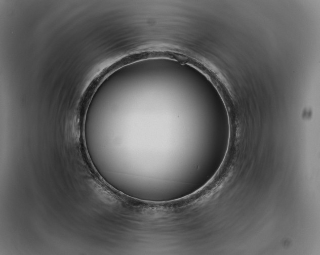X0000098110973200804041340