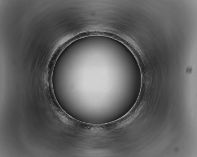 X0000098110974200804041340