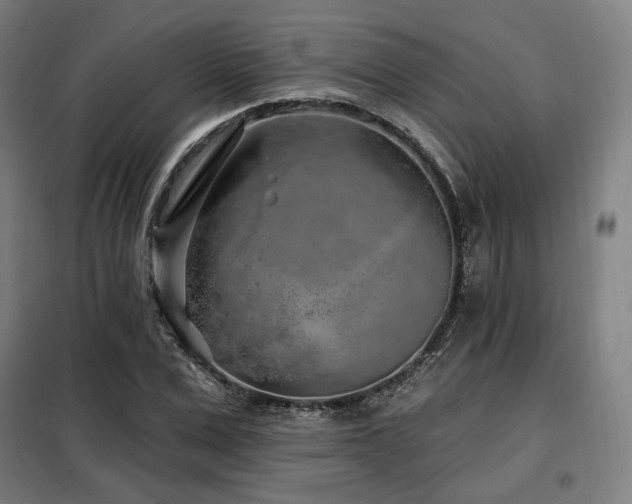 X0000098110975200804041340