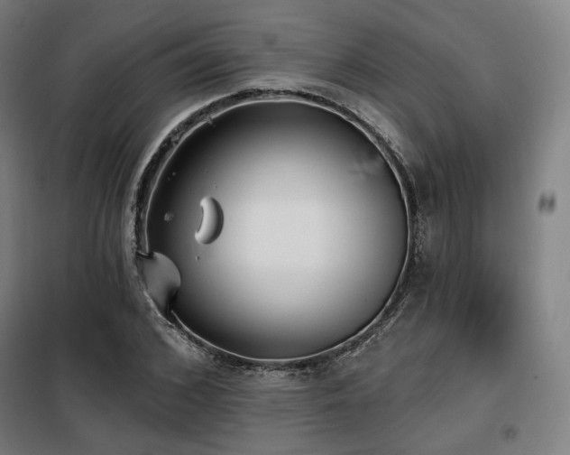 X0000098110976200804041340