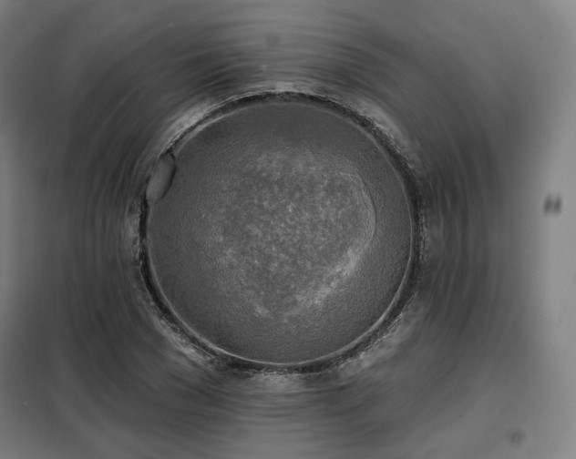 X0000098110977200804041340