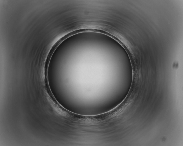 X0000098110980200804041340