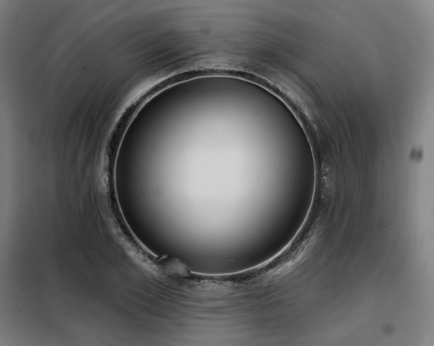 X0000098110981200804041340