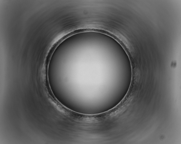 X0000098110982200804041340