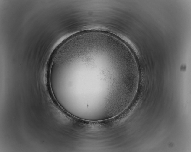 X0000098110983200804041340