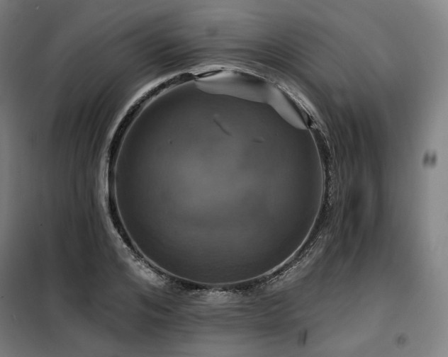 X0000098110984200804041340
