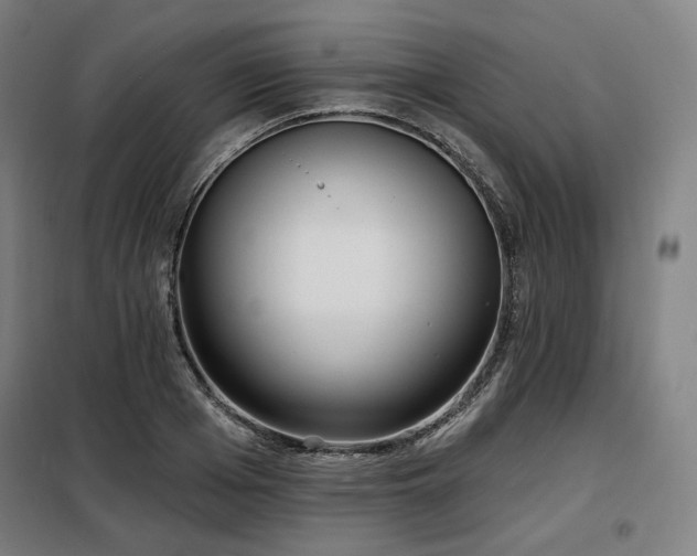 X0000098110985200804041340